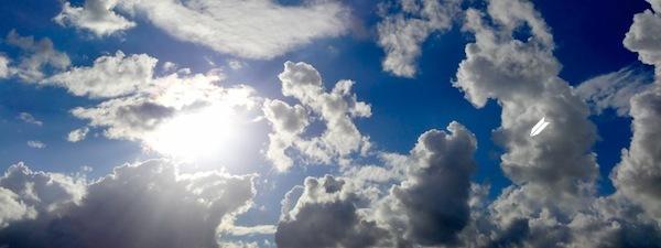 IMG_1879